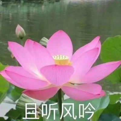 2026雷达物位计厂家推荐：海康微...